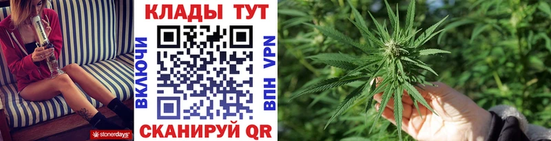 ГАШИШ Болотное