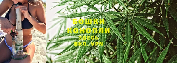 прущий лед Богданович