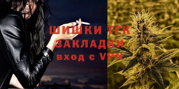 прущий лед Богданович