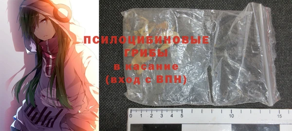прущий лед Богданович