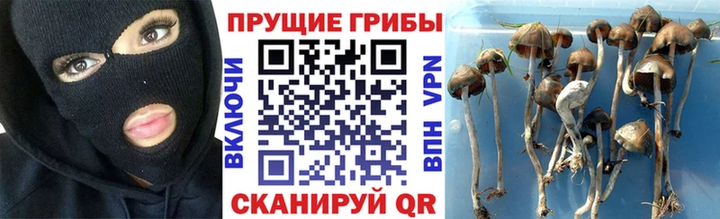 Псилоцибиновые грибы мухоморы  Болотное 
